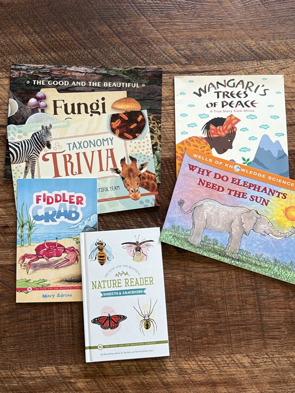 Children's Science & Nature Book Bundle — Colorful Animal & Nature Covers